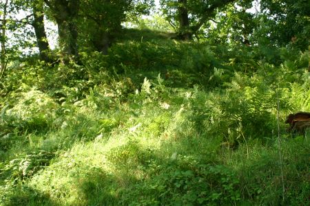 Lochwood plantation