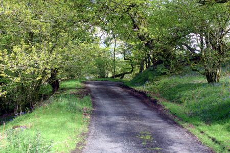 Lochwood plantation