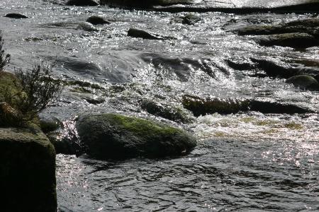 Otters Pool River Dee