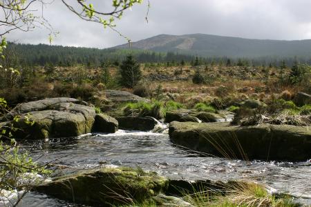 The River Dee beside the Raiders trail New galloway