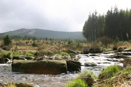 The River Dee beside the Raiders trail New galloway