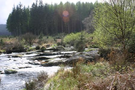 The River Dee beside the Raiders trail New galloway