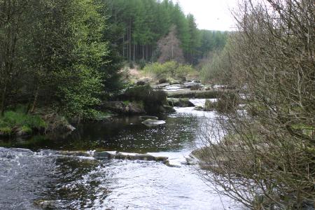 The River Dee beside the Raiders trail New galloway