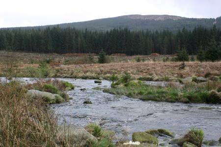 The River Dee beside the Raiders trail New galloway