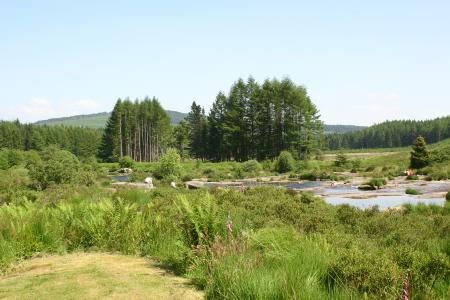 The River Dee along the Raiders Trail