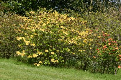 portrack_gardens