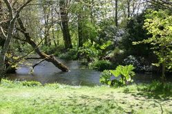 portrack_gardens