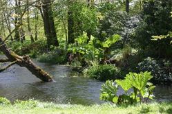 portrack_gardens