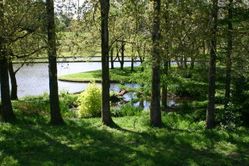 portrack_gardens