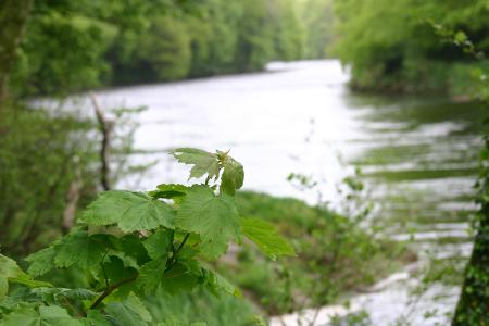River Annan