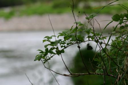 River Annan