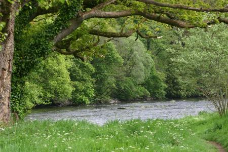 River Annan