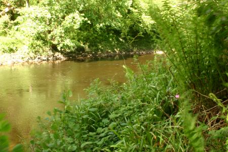 views_rivers