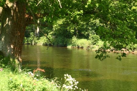 River Annan