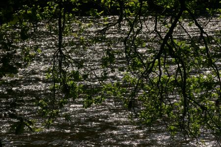 River Annan