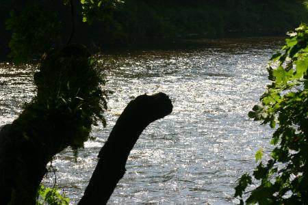 River Annan