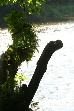 River Annan