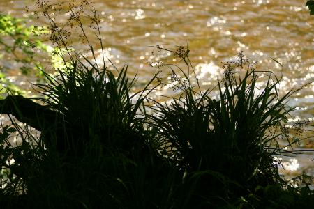 River Annan