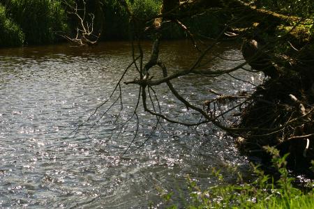 River Annan