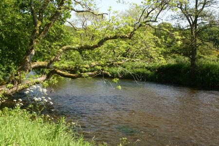 River Annan