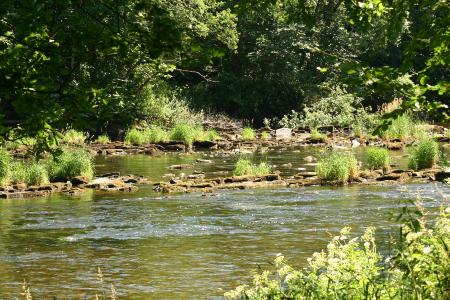 River 