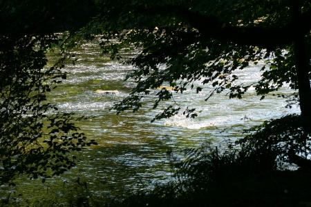 River Annan 