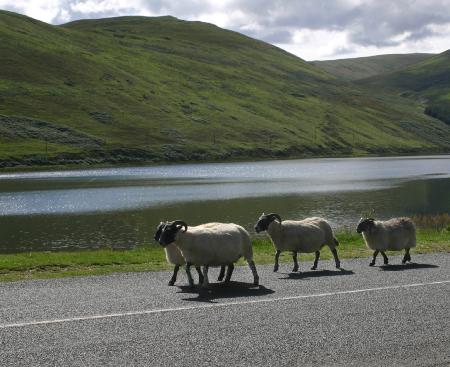 St Marys Loch 