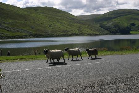 St Marys Loch 