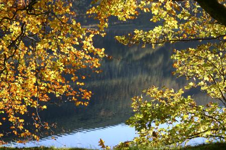 St Marys Loch 