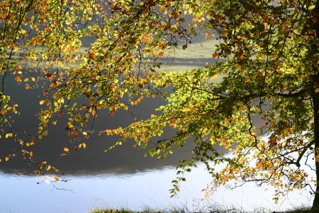 St Marys Loch 
