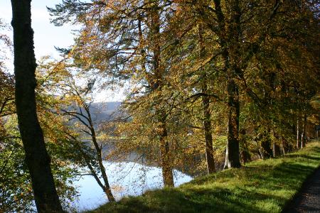 St Marys Loch 